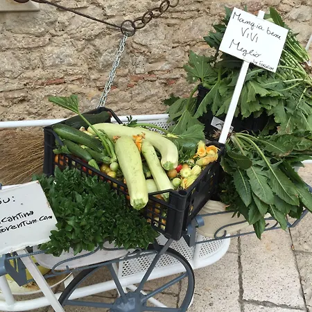 Forentum Diffuso Hotel *